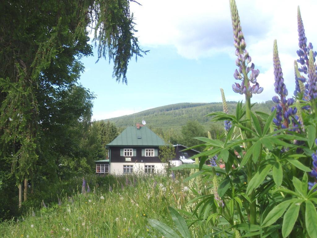 Vila Martin Harrachov Buitenkant foto